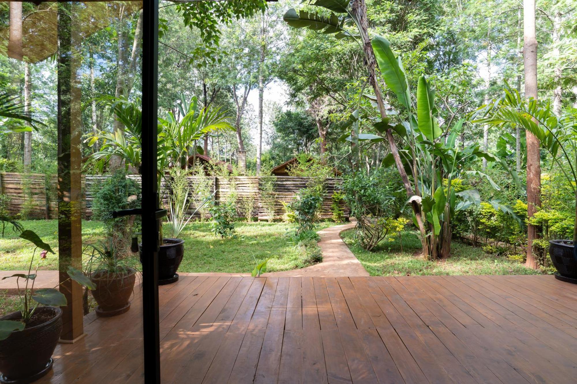 The Jungle Oasis With Heated Pool Appartement Nairobi Buitenkant foto