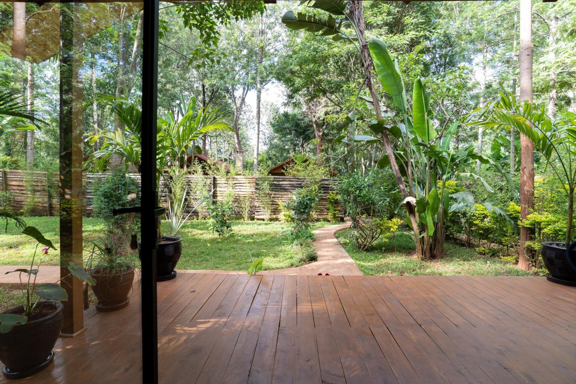 The Jungle Oasis With Heated Pool Appartement Nairobi Buitenkant foto